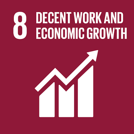 SDG 8 icon